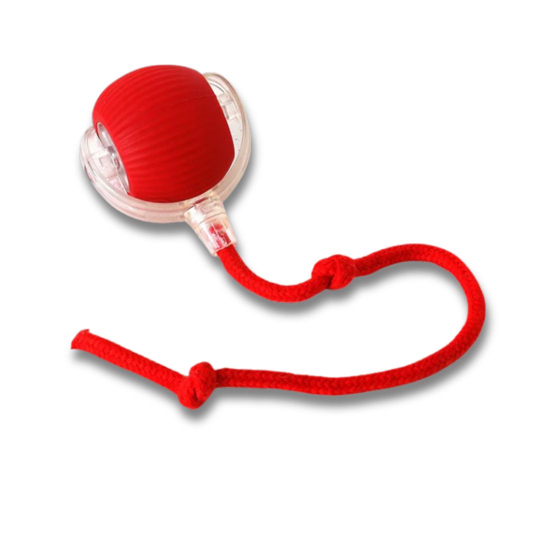 Interaktiv Kattleksak – Spinball med LED-ljus & Självrullande Rörelse